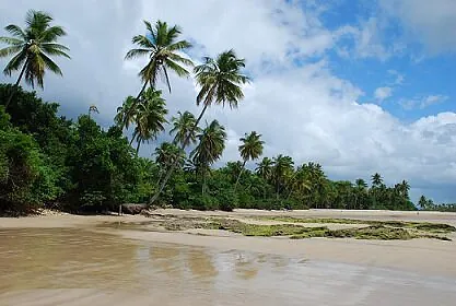 BOIPEBA