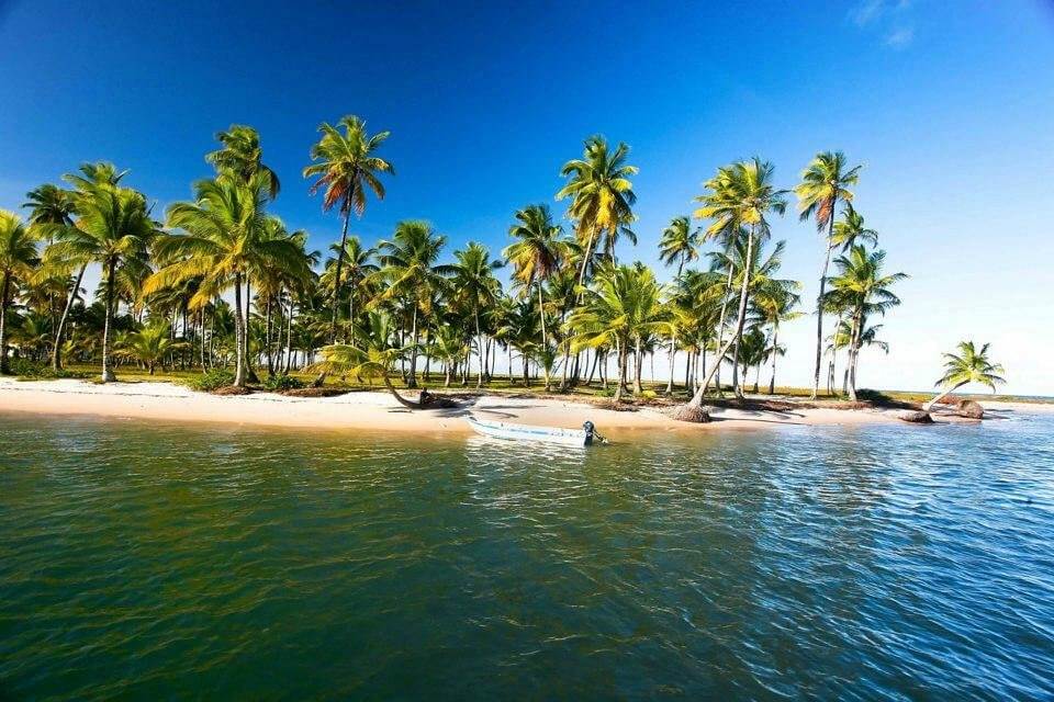 BOIPEBA3